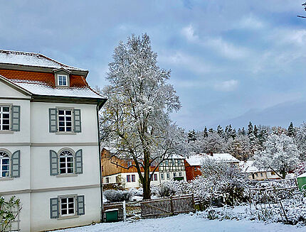 Neustädtleser Adventsmarkt (c) Schloss Neustädtles
